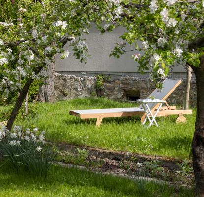 picture of a garden